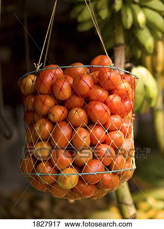 Cherry tomatoes in a basket View Large Photo Image Stock Photo - Cherry tomatoes in a basket. Fotosearch