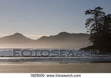 Chesterman's Beach near Tofino on Vancouver Island, BC View Large Photo Image Stock Image - Chesterman's Beach near Tofino on Vancouver Island, BC. Fotosearch