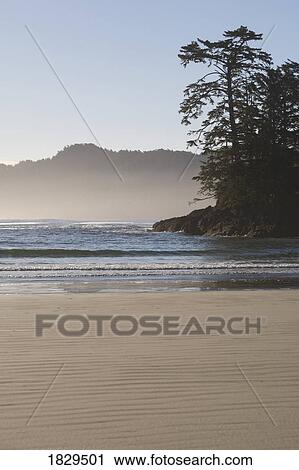Chesterman's Beach near Tofino on Vancouver Island, British Columbia, Canada View Large Photo Image Stock Image - Chesterman's Beach near Tofino on Vancouver Island, British Columbia, Canada. Fotosearch