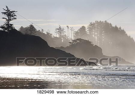 Stock Photo - Chesterman's Beach near Tofino on Vancouver Island, British Columbia, Canada . Fotosearch