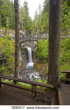 Christine Falls, Mount Rainier National Park, Washington, USA View Large Photo Image Stock Photo - Christine Falls, Mount Rainier National Park, Washington, USA . Fotosearch