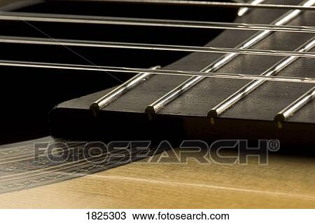 Close up of a stringed instrument View Large Photo Image Stock Image - Close up of a stringed instrument. Fotosearch