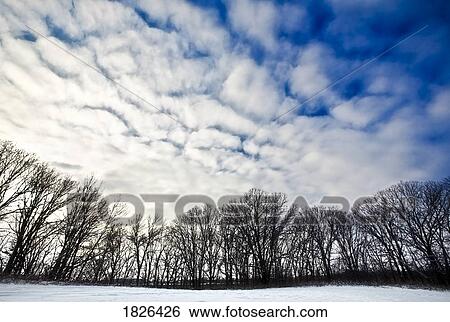 Stock Photograph - Clouds over the trees. Fotosearch