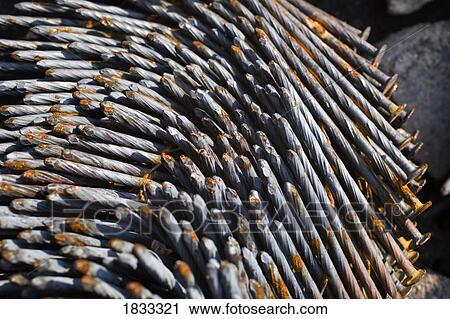 Stock Image - Collection of rusty nails. Fotosearch