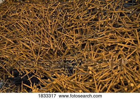 Stock Photo - Collection of rusty nails. Fotosearch