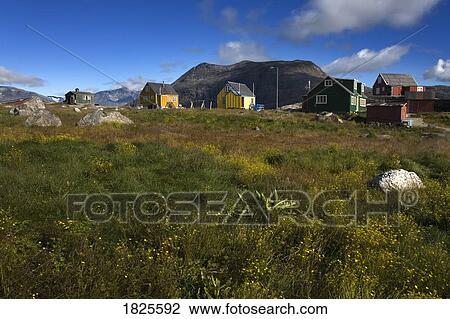 Stock Image - Colorful houses, Port of Nanortalik, Island of Qoornoq, Province of Kitaa, Southern Greenland, Kingdom of Denmark . Fotosearch