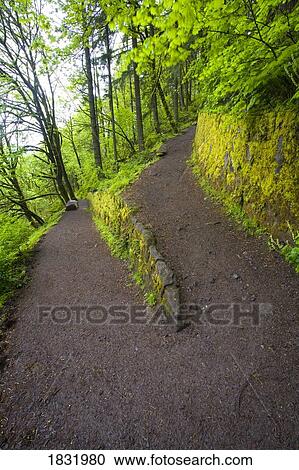 Stock Image - Columbia River Gorge, Oregon, USA. Fotosearch