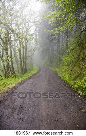 Stock Photo - Columbia River Gorge, Oregon, USA. Fotosearch