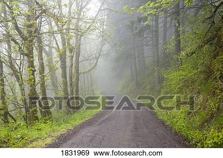 Stock Photo - Columbia River Gorge, Oregon, USA. Fotosearch