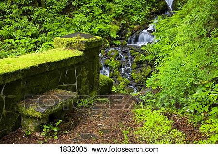 Stock Photography - Columbia River Gorge, Oregon, USA, Small Stream. Fotosearch