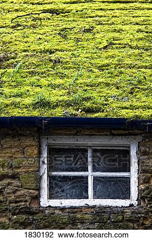Stock Image - Cottage with grass growing on roof. Fotosearch