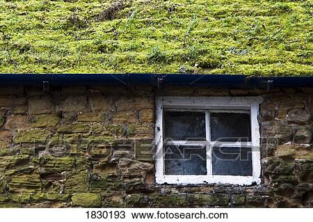 Cottage with grassy roof View Large Photo Image Stock Image - Cottage with grassy roof. Fotosearch