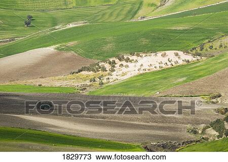 Stock Image - Countryside, Andalucia, Spain. Fotosearch