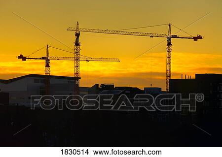 Picture - Cranes at sunset. Fotosearch