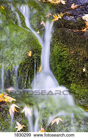 Crystal Springs waterfall at Oregon, USA, long exposure View Large Photo Image Stock Photo - Crystal Springs waterfall at Oregon, USA, long exposure. Fotosearch