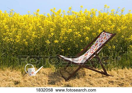 Stock Photo - Deck chair, watering can, canola field. Fotosearch