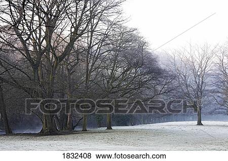 Derwent, Derbyshire, England View Large Photo Image Stock Photo - Derwent, Derbyshire, England. Fotosearch
