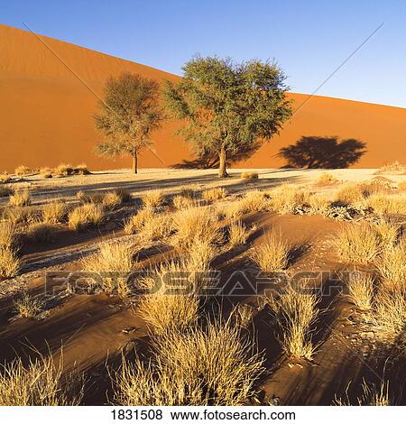 Desert, Namibia, Africa View Large Photo Image Stock Photo - Desert, Namibia, Africa. Fotosearch