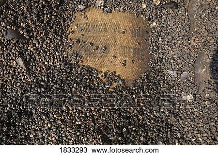 Stock Image - Detail of burnt building. Fotosearch