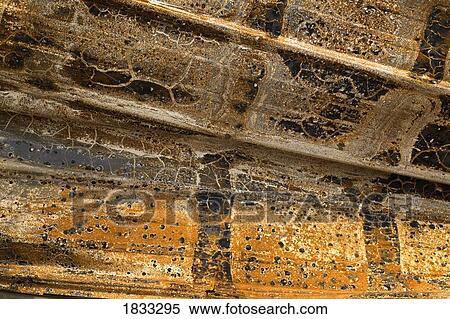 Detail of burnt building View Large Photo Image Stock Photography - Detail of burnt building. Fotosearch