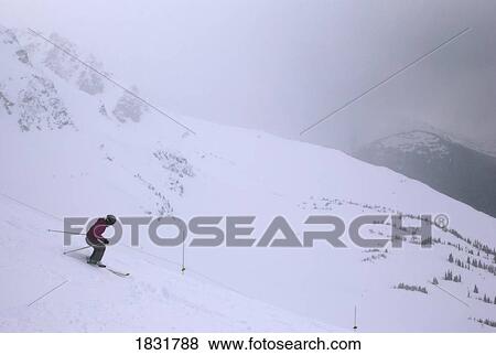 Stock Photo - Downhill skiier, Whistler, British Columbia, Canada. Fotosearch