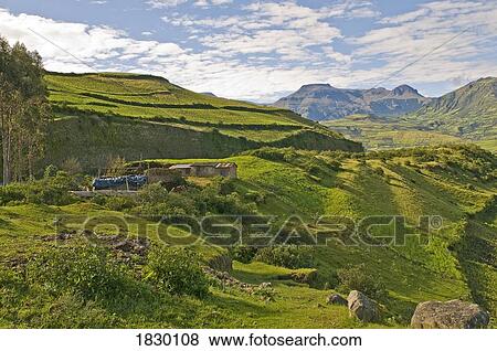 Stock Photo - Ecuador highlands. Fotosearch