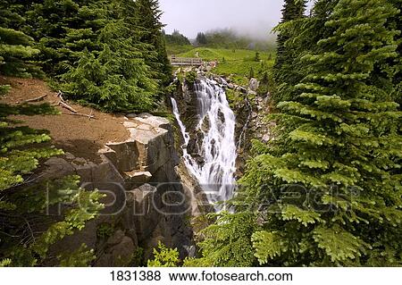 Stock Photo - Edith Creek, Mount Rainier National park, Washington, USA. Fotosearch