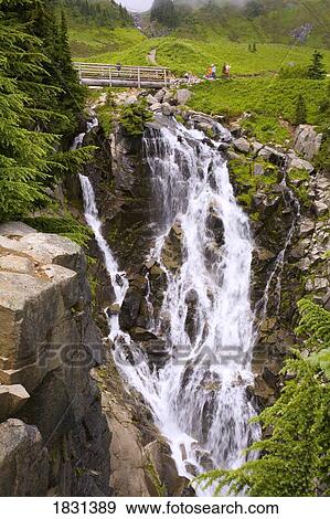 Stock Photo - Edith Creek, Mount Rainier National Park, Washington State, USA. Fotosearch