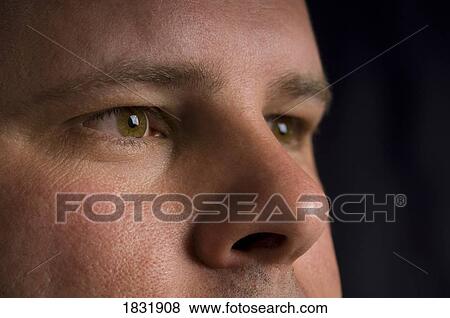 Eyes and nose View Large Photo Image Stock Photo - Eyes and nose. Fotosearch