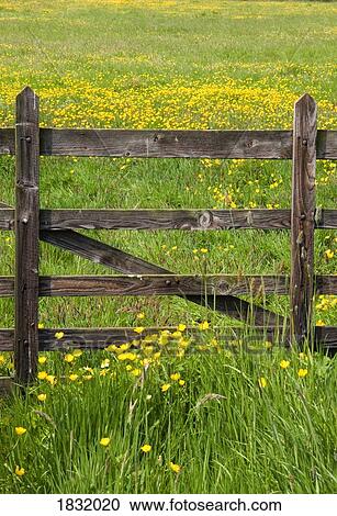 Stock Image - Farm fence. Fotosearch
