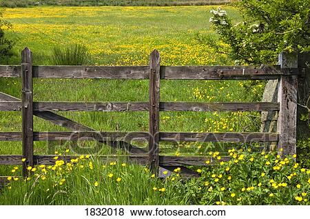 Farm fence View Large Photo Image Stock Photo - Farm fence. Fotosearch