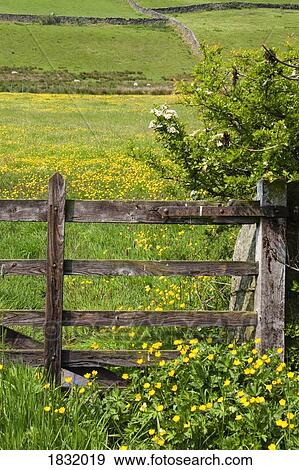 Farm fence View Large Photo Image Stock Photo - Farm fence. Fotosearch