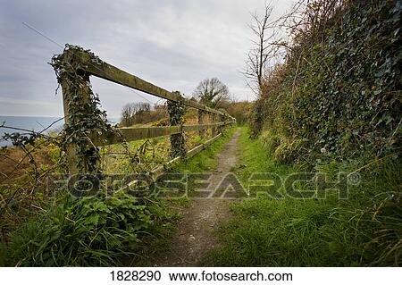 Fence along path, Ireland, Europe View Large Photo Image Stock Image - Fence along path, Ireland, Europe. Fotosearch