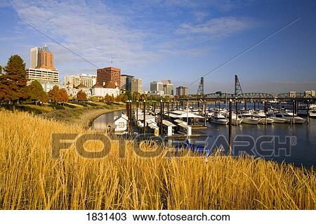 Field along Willamette River, Portland, Oregon, USA View Large Photo Image Stock Image - Field along Willamette River, Portland, Oregon, USA. Fotosearch