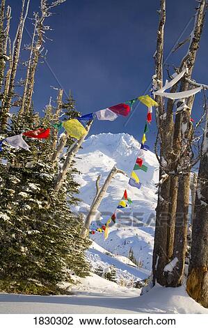 Stock Image - Flags tied around trees at Mount Hood, Oregon, USA. Fotosearch