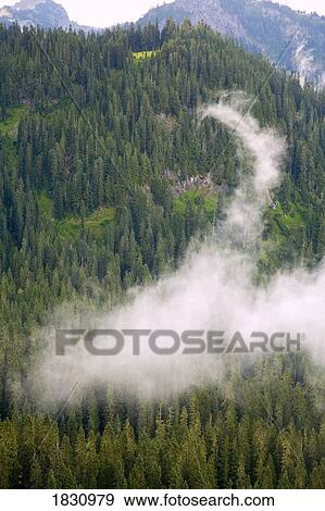 Fog on mountainside, Mount Rainier National Park, Washington, USA View Large Photo Image Stock Photo - Fog on mountainside, Mount Rainier National Park, Washington, USA. Fotosearch