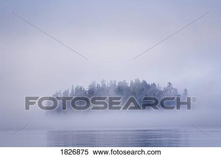 Stock Photography - Foggy island with spruce trees near Pybus Bay, Inside Passage, Southeast Alaska, USA . Fotosearch