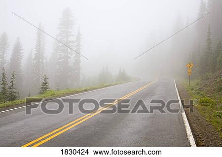 Foggy road, Mount Rainier National Park, Washington, USA View Large Photo Image Picture - Foggy road, Mount Rainier National Park, Washington, USA. Fotosearch