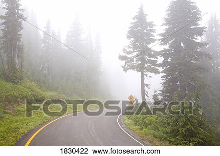 Foggy road, Mount Rainier National Park, Washington, USA View Large Photo Image Stock Image - Foggy road, Mount Rainier National Park, Washington, USA. Fotosearch