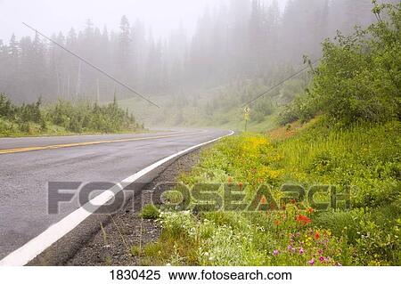 Stock Photography - Foggy road, Mount Rainier National Park, Washington, USA. Fotosearch