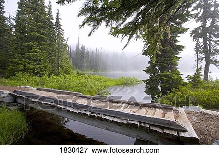 Foot bridge, Mount Rainier National Park, Washington, USA View Large Photo Image Stock Photo - Foot bridge, Mount Rainier National Park, Washington, USA . Fotosearch