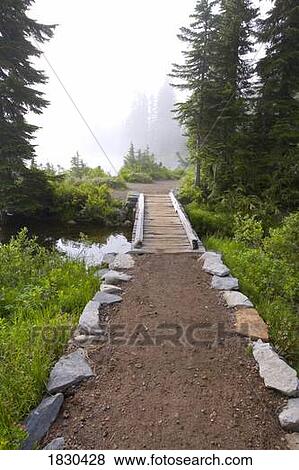 Foot bridge, Mount Rainier National Park, Washington, USA View Large Photo Image Stock Photo - Foot bridge, Mount Rainier National Park, Washington, USA . Fotosearch