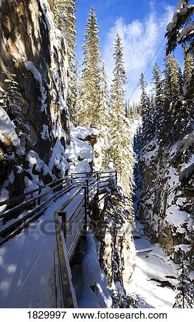 Stock Photo - Footbridge and snow-covered trees, Johnston Canyon, Banff National Park, Alberta, Canada. Fotosearch