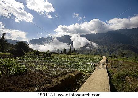 Gardens in the picturesque village of Sapa, northern Vietnam, near the Chinese border View Large Photo Image Stock Image - Gardens in the picturesque village of Sapa, northern Vietnam, near the Chinese border. Fotosearch