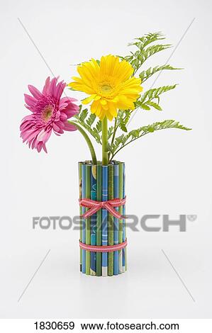 Gerbera daisies View Large Photo Image Stock Photo - Gerbera daisies. Fotosearch