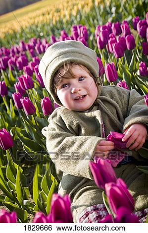 Girl holding a tulip View Large Photo Image Stock Photograph - Girl holding a tulip. Fotosearch