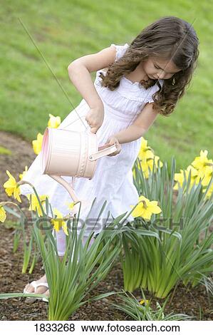 Girl watering daffodils View Large Photo Image Stock Photo - Girl watering daffodils. Fotosearch