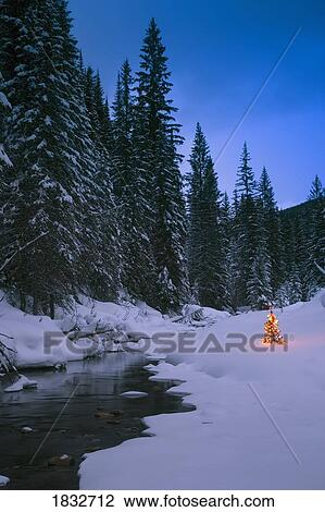 Glowing Christmas tree by mountain stream View Large Photo Image Stock Image - Glowing Christmas tree by mountain stream. Fotosearch