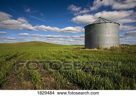 Picture - Grainery in a prairie field in rural Saskatchewan, Canada. Fotosearch