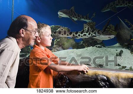 Stock Photo - Grandfather and grandson at aquarium. Fotosearch